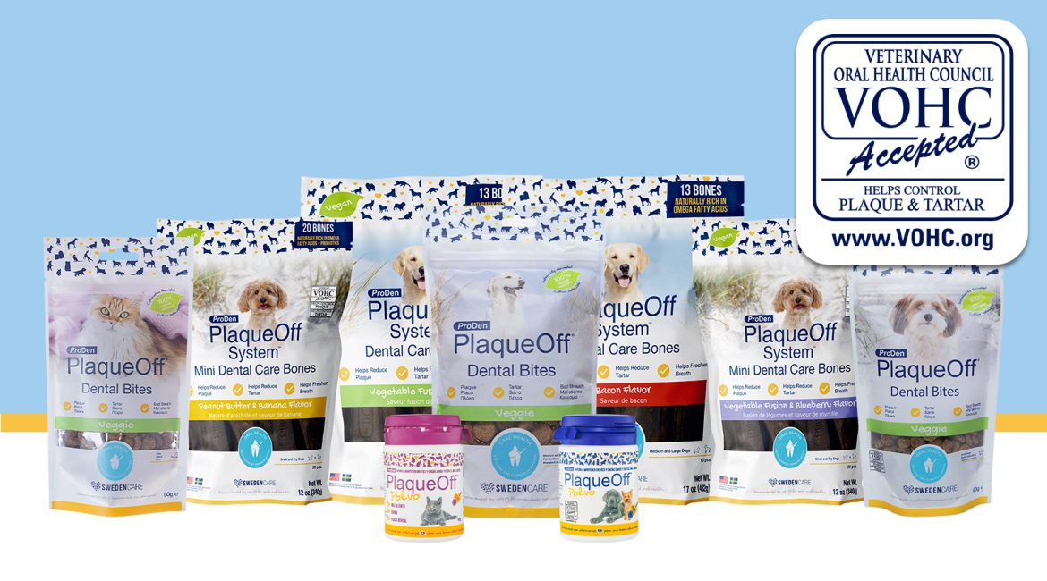 qué es el vohc certificación salud dental mascotas