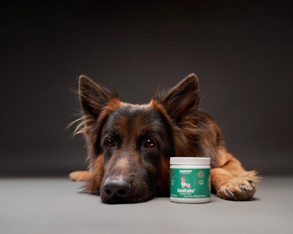SuniCalm como calmante natural para el estrés en perros